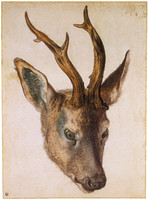 Tête de cerf