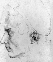 Man’s Head in Profile