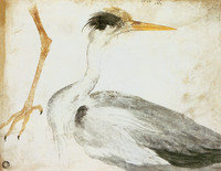 The Heron