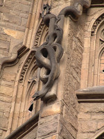 Sagrada Familia, façade de la Nativité, détail d’un animal, serpent dans le cloître