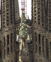 Temple of Sagrada Familia, detail of Nativity façade with cypress tree, the symbol of eternity