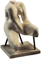 Sitting Female Torso