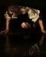 Narcissus