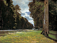 The Chailly Road through the Forest of Fontainebleau