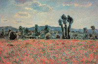 Poppy Field