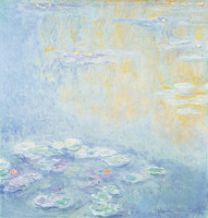 Water Lilies