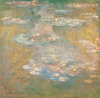 Water Lilies