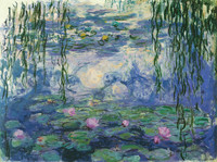 Water Lilies