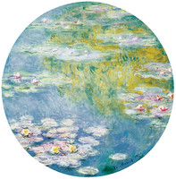 Water Lilies