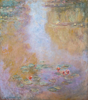 Water Lilies