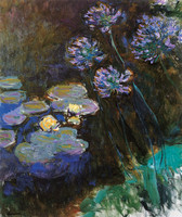 Water Lilies and Agapanthus