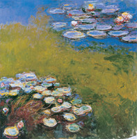 Water Lilies