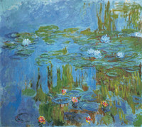 Water Lilies