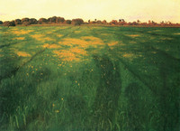 Field of Green Oats