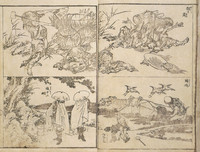 Images of Excellence in One View (Using the Mirror of Drawing to Communicate the Spirit of Things) (Shuga ichiran)