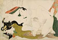 Shunga: Erotic Scene, from the series Forms of Embracing (tsuhi no hinagata)