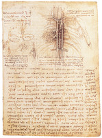 Sistema cardiovascular