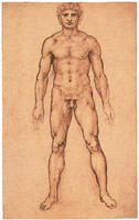 Frontal Study of a Naked Man