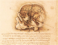  Interior of the Skull