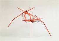 Model of a Machine with Flapping Wings, after a project of Leonardo