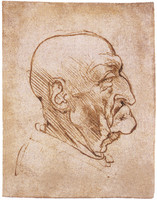 Profile of an Old Man