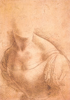 Study for the Bust of a Woman