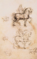 Study for The Sforza Equestrian Monument