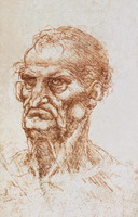 Study of an Old Man