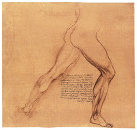 Study of the Movement of Legs