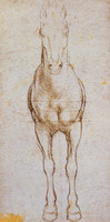 Study of the Proportions of Horses