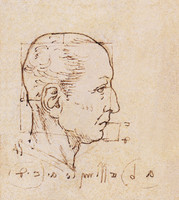 Study of the Proportions of the Head