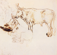 The Donkey and the Ox