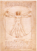 The Vitruvian Man