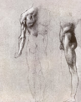 Study of a Nude