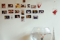 A Picture Wall and a Fish Tank