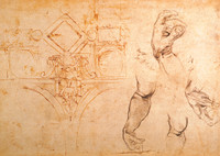 Sketches for the decoration of the vault of the Sistine Chapel, studies of arms and hands