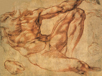 Study for Adam for the Sistine Chapel