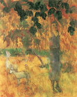 Man Picking Fruits