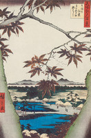 Scarlet Maple Trees at Mama by the Tekona-no yashiro Shrine and the Tsugihashi Bridge, Mama-no momiji Tekona-no yachting Tsugihashi