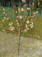 Almond Tree in Bloom, Arles