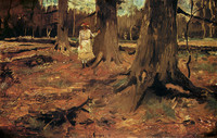 Girl in a Wood, The Hague