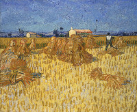 Harvest in Provence, Arles