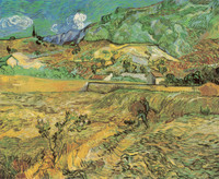 Landscape at Saint-Rémy (Enclosed Field with Peasant)