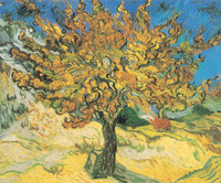 Mulberry Tree, Saint-Rémy