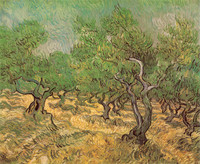 Olive Grove, Saint-Rémy