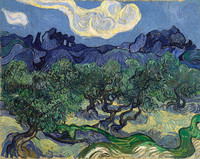 Olive Trees with the Alpilles in the Background, Saint-Rémy