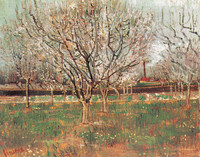 Orchard in Blossom (Plum Trees), Arles