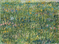 Patch of Grass, Paris