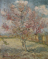 Rosa Pfirsich-Bäume (Erinnerung der Mauve), Arles