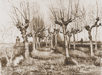 Pollard Birches, Nuenen